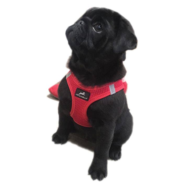 Miro & Makauri – wholesale Pet harness – Dog – Step-in Air Mesh Dog Harness (8 Colours).13