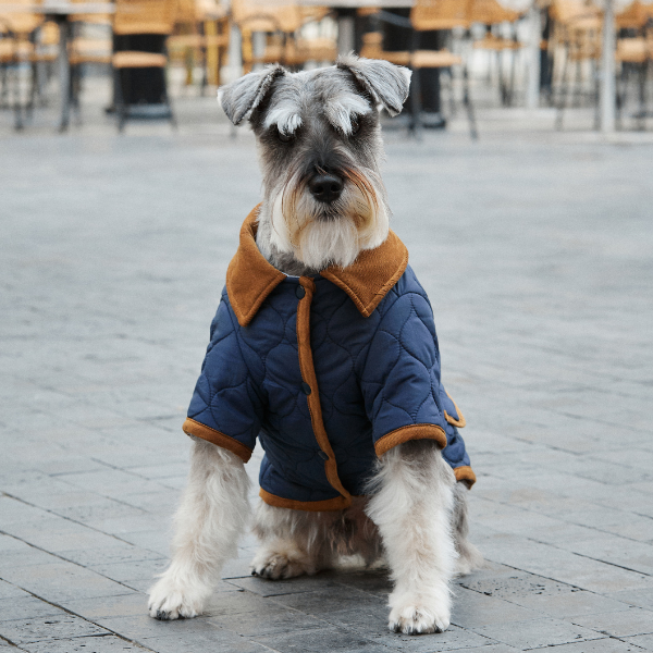 ARISTOPET - Wholesale Pet Jacket - Dog - SPENCER JACKET5