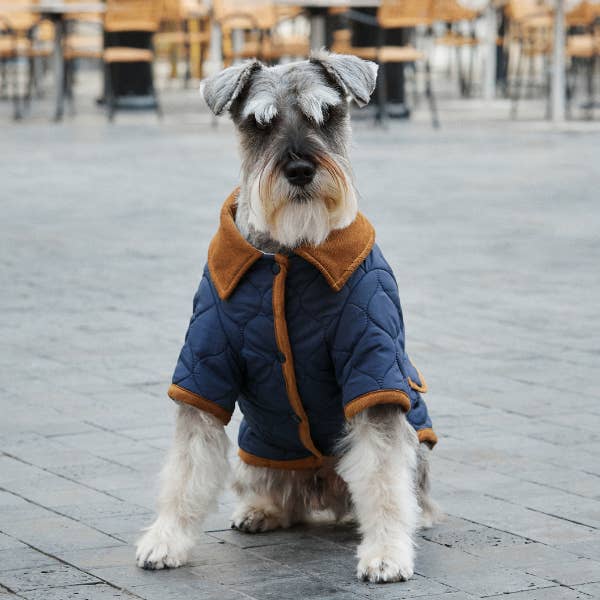 ARISTOPET - Wholesale Pet Jacket - Dog - SPENCER JACKET5