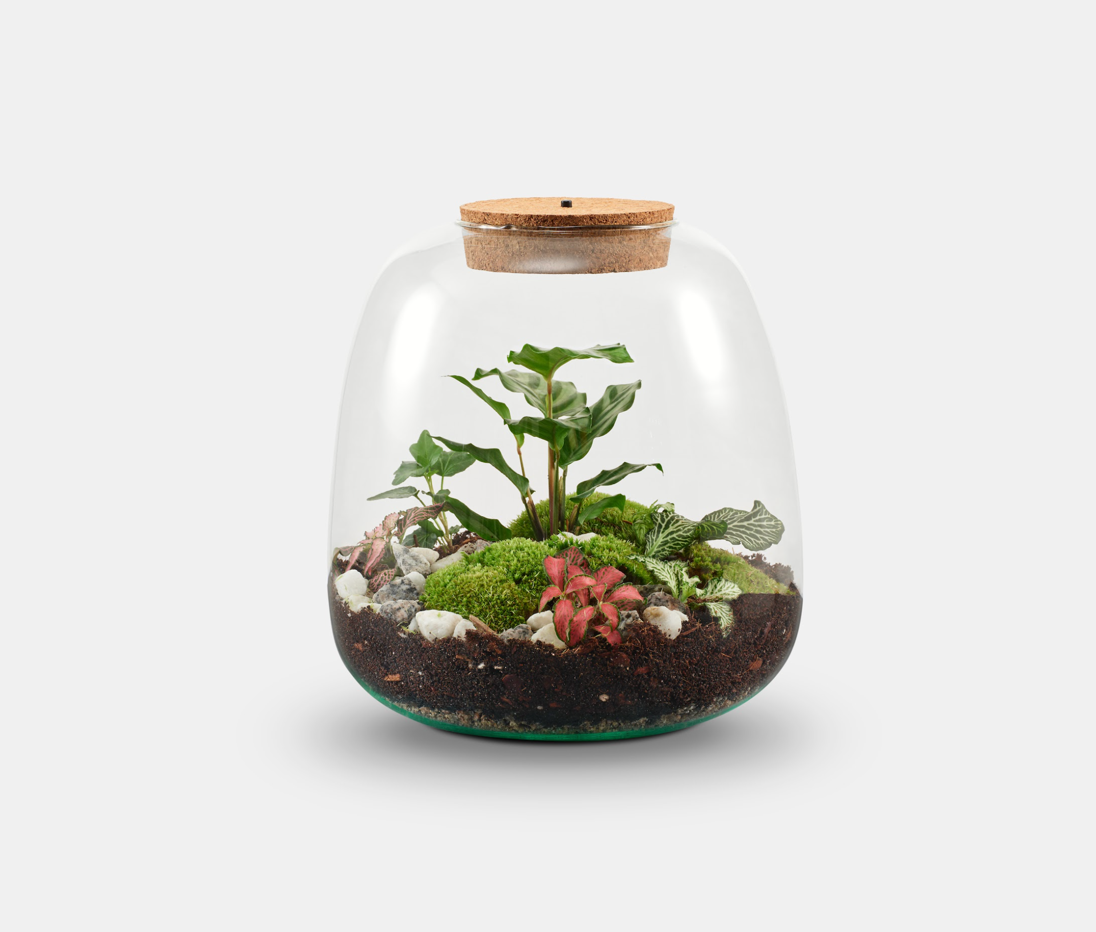 Underglass Terrariums - Wholesale Terrarium - Groot terrariumset met LED kurkdop2