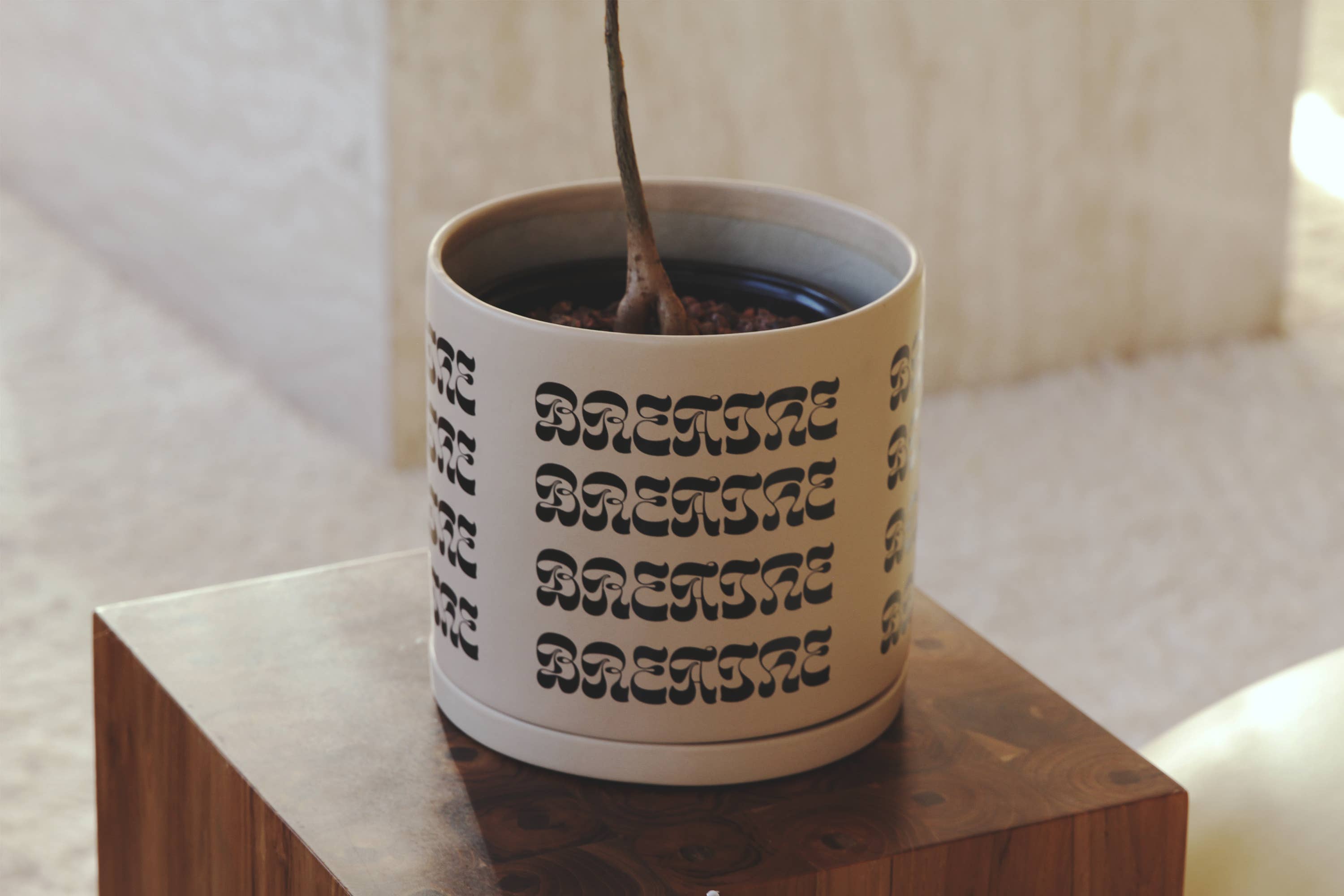 Soul of the Party - Wholesale Plant Pot - Breathe Plant Pot