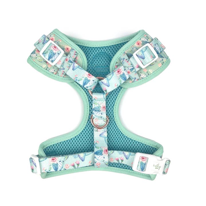 Holly and Co Australia Pty Ltd - Wholesale Pet harness – Dog - Dog Harness // Pretty Fly For A Cacti1