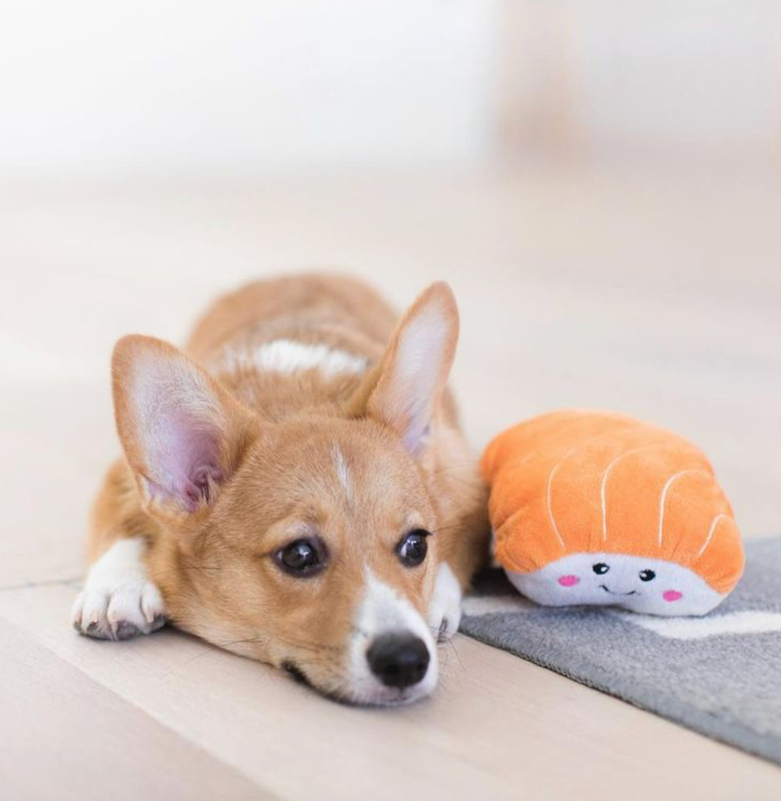 ZippyPaws - Vente Peluche – chien - NomNomz® - Sushi - Jouet pour chien5