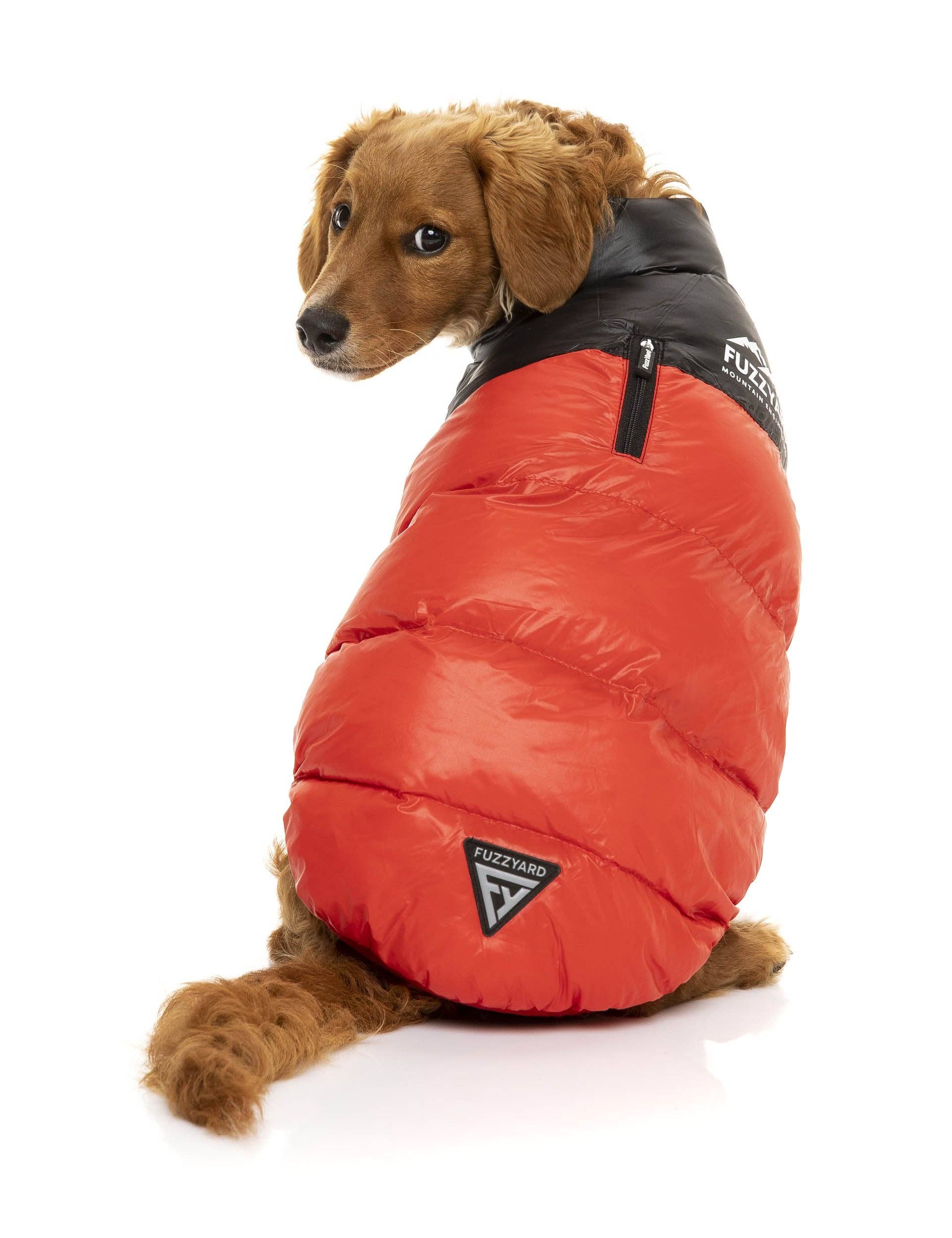 In Vogue Pets – wholesale Pet jacket – Dog – Harlem Puffer Jacket - Red0