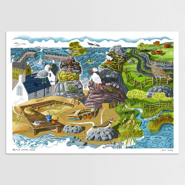 John Bloor Printmaker - Wholesale Art Print - British Coastal Birds digitally printed print
