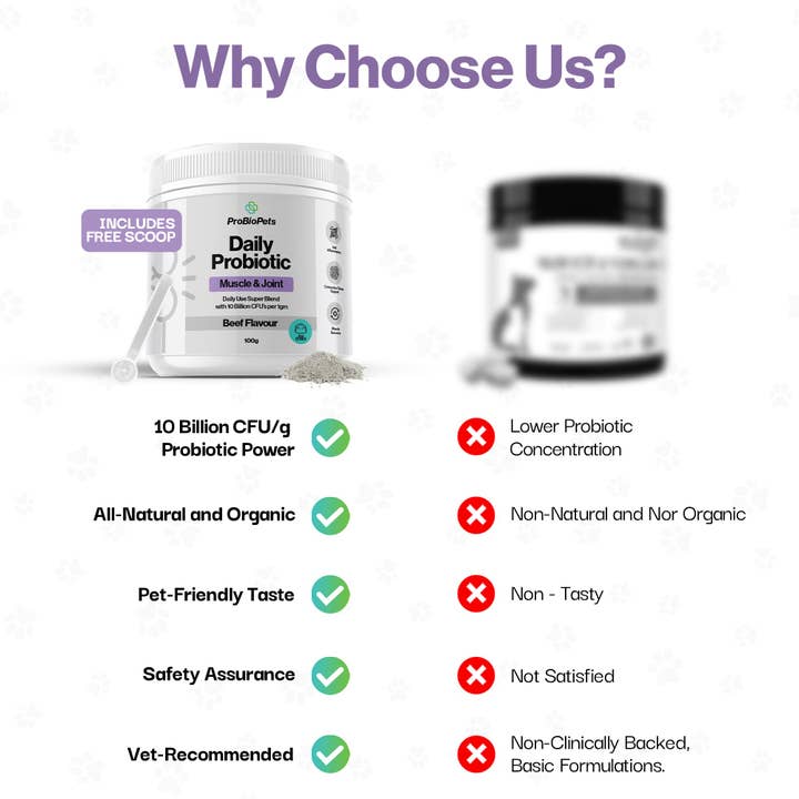 OurPetsLife - Wholesale Pet Supplement - Cat/Dog - Muscle & Joint Probiotic For Pets