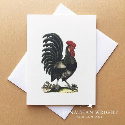 Regal Rooster Boxed 8er Set für den Großhandel von Jonathan Wright and Company