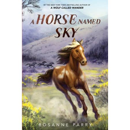 Horse Named Sky, A: Rosanne Parry for wholesale by HarperCollins