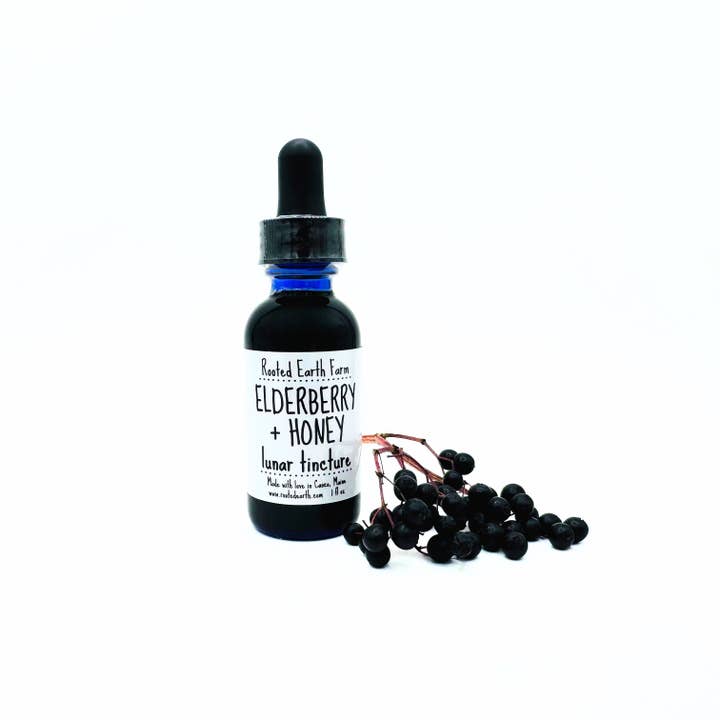 Rooted Earth Farm + Apothecary - Wholesale Tincture - Elderberry + Honey Tincture - 2 Size Options3