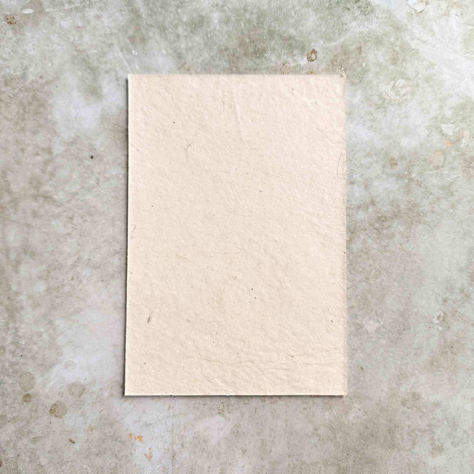 The Natural Paper Company – Conjunto de notas por atacado – Papel e Envelopes Artesanais de Lokta do Nepal - Artemísia & Buganvília4