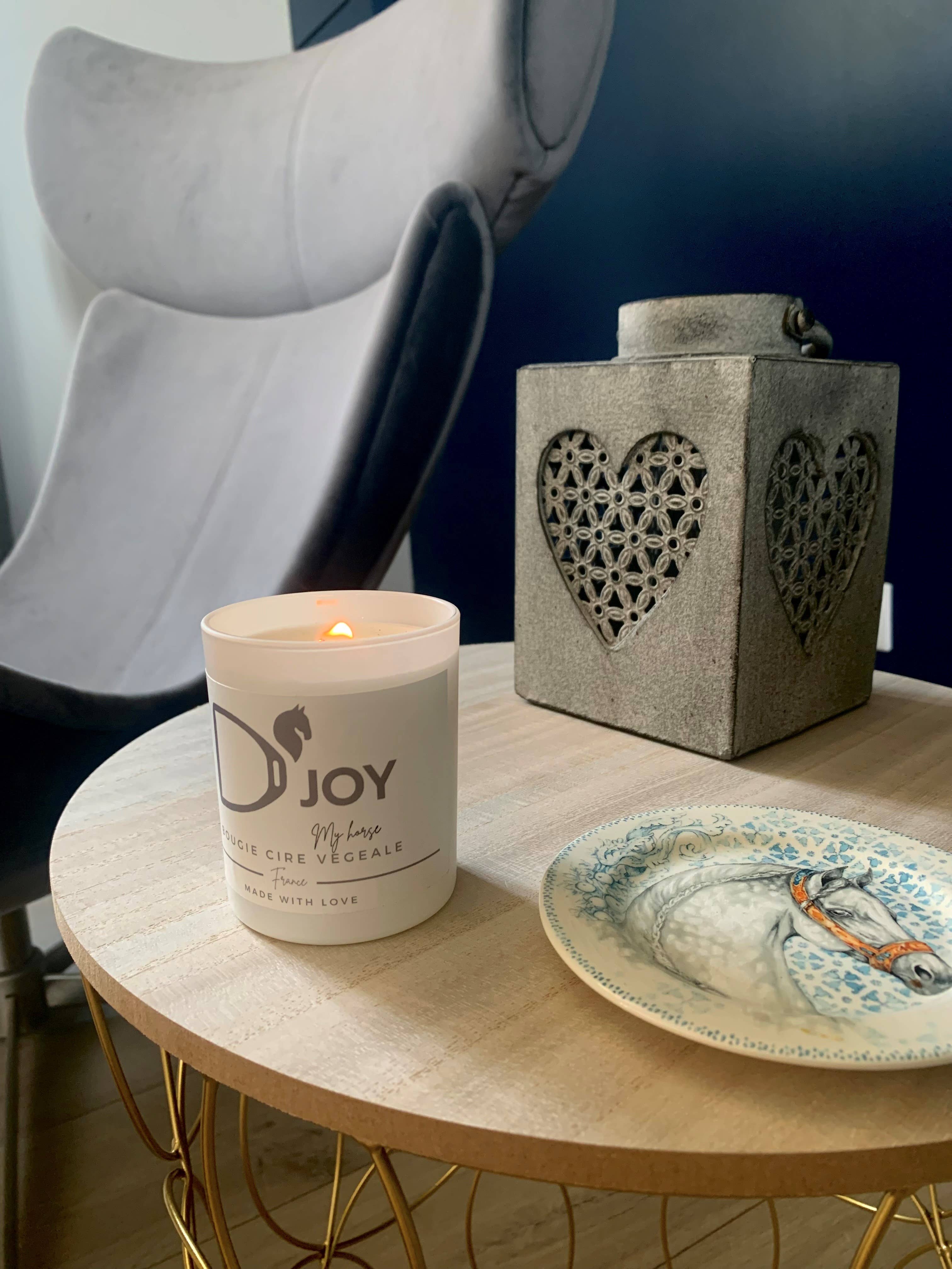 D'JOY by Cheval&Senteurs - Wholesale Jar/Filled Candle - Classic candle "D'Joy My Horse"3