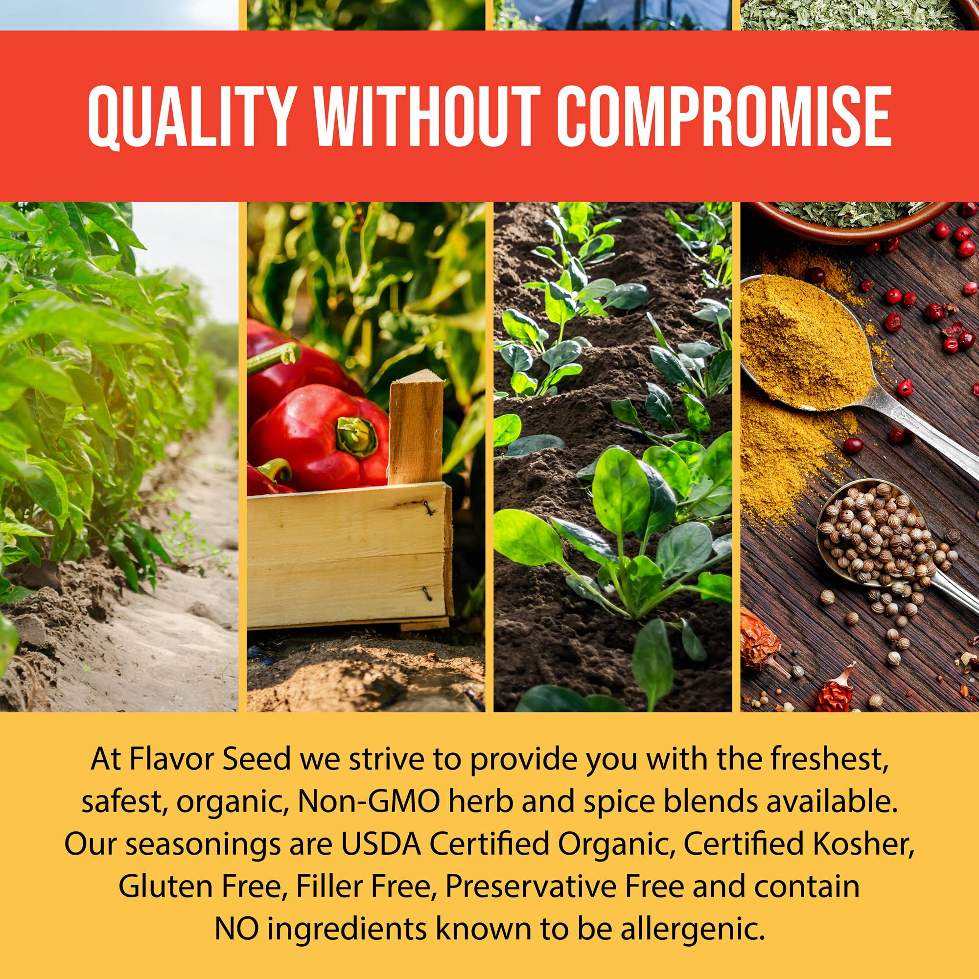 Flavor Seed - Wholesale Dried Spice Mix - Rock Yo' Taco Organic Taco Seasoning Mix3