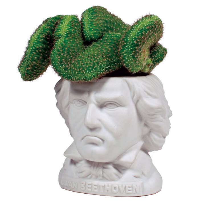 Unemployed Philosophers Guild - Wholesale Plant Pot - Ludwig Van Beethoven Planter1