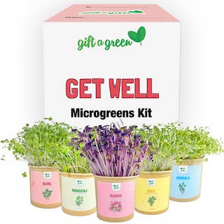 Gift Box - Get Well for wholesale by giftagreen