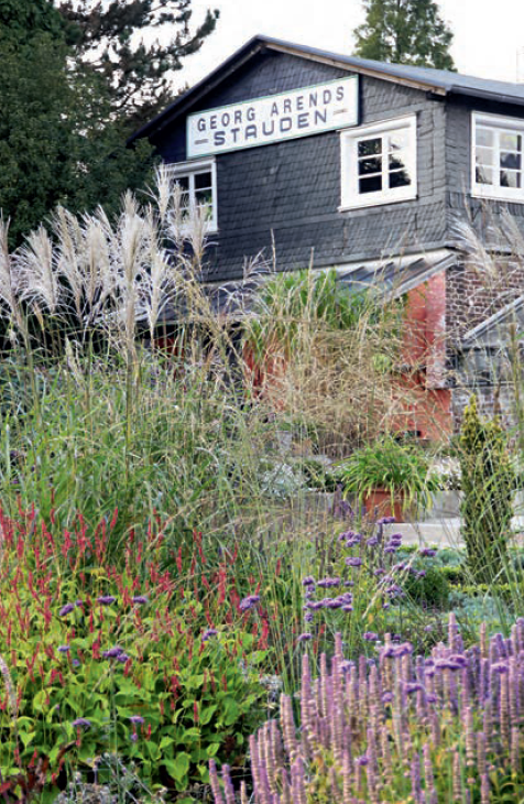 Callwey GmbH – Livro sobre casa e jardim por atacado – Plantas perenes no jardim.2