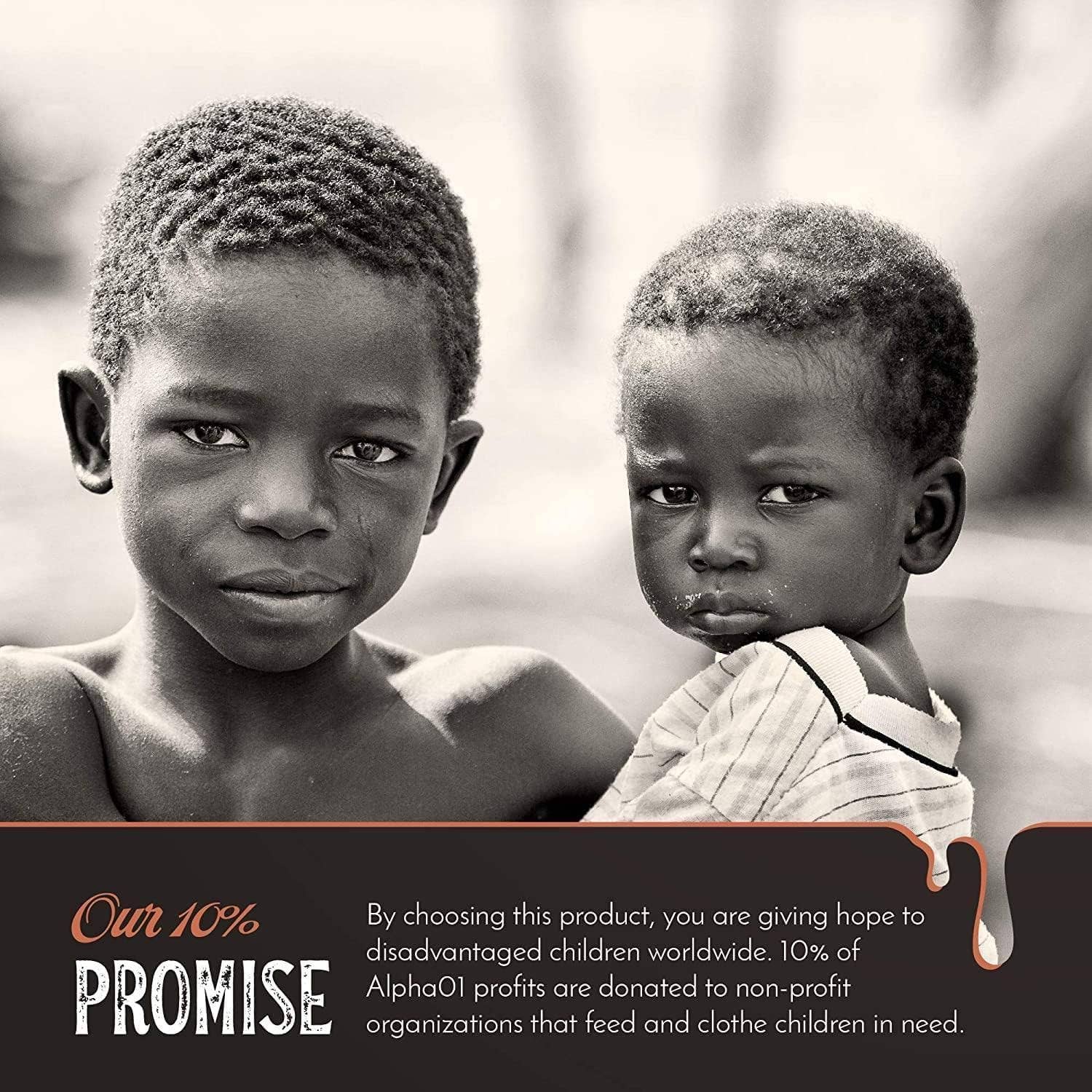 Zayti L.T.D.M – Engroshandel Tørret/dehydreret frugt – Ajwa Premium dadler uden sten 300G9