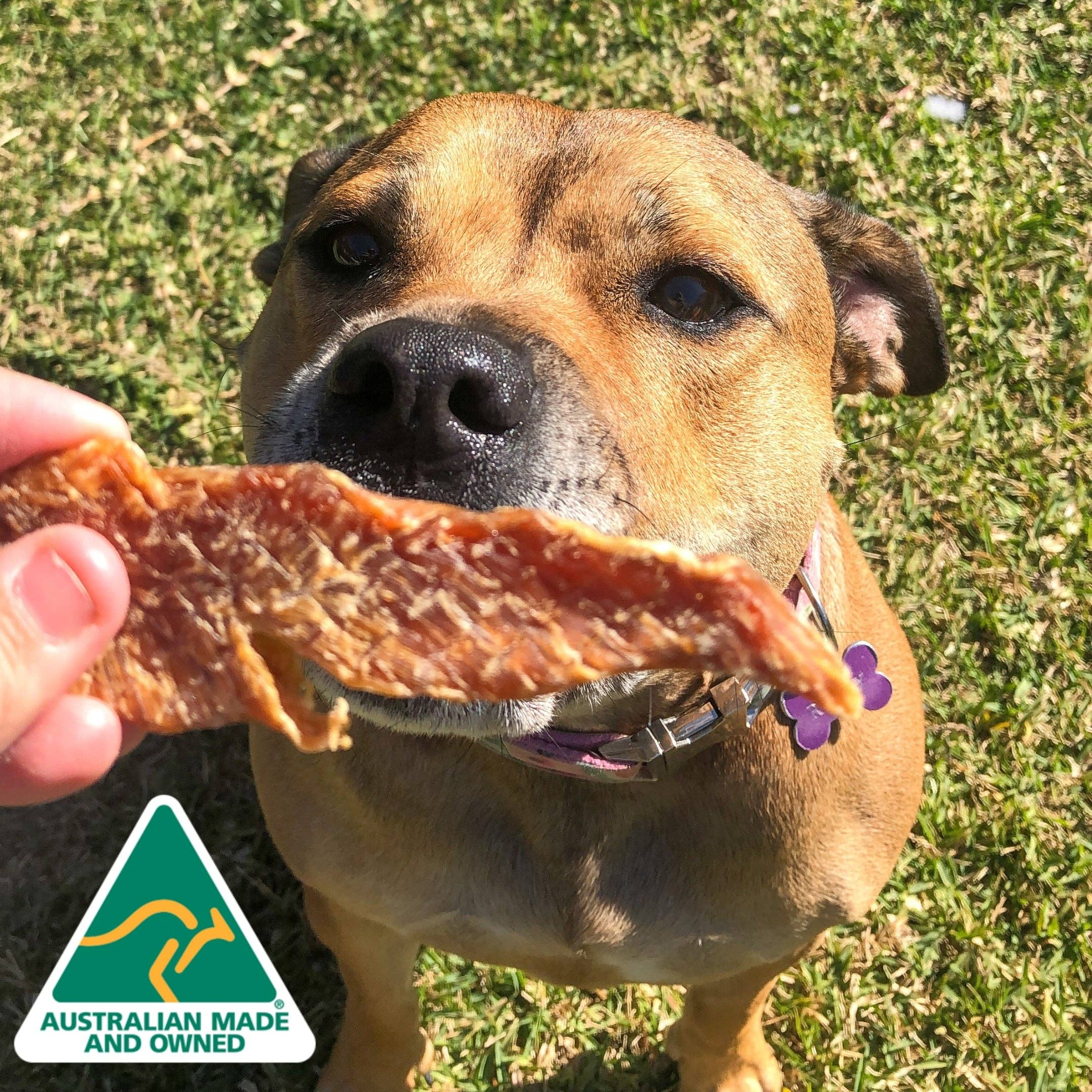 Rover Pet Products - Wholesale Pet Treats - Dog - Roast Chicken Dinner - Chicken Breast Jerky6