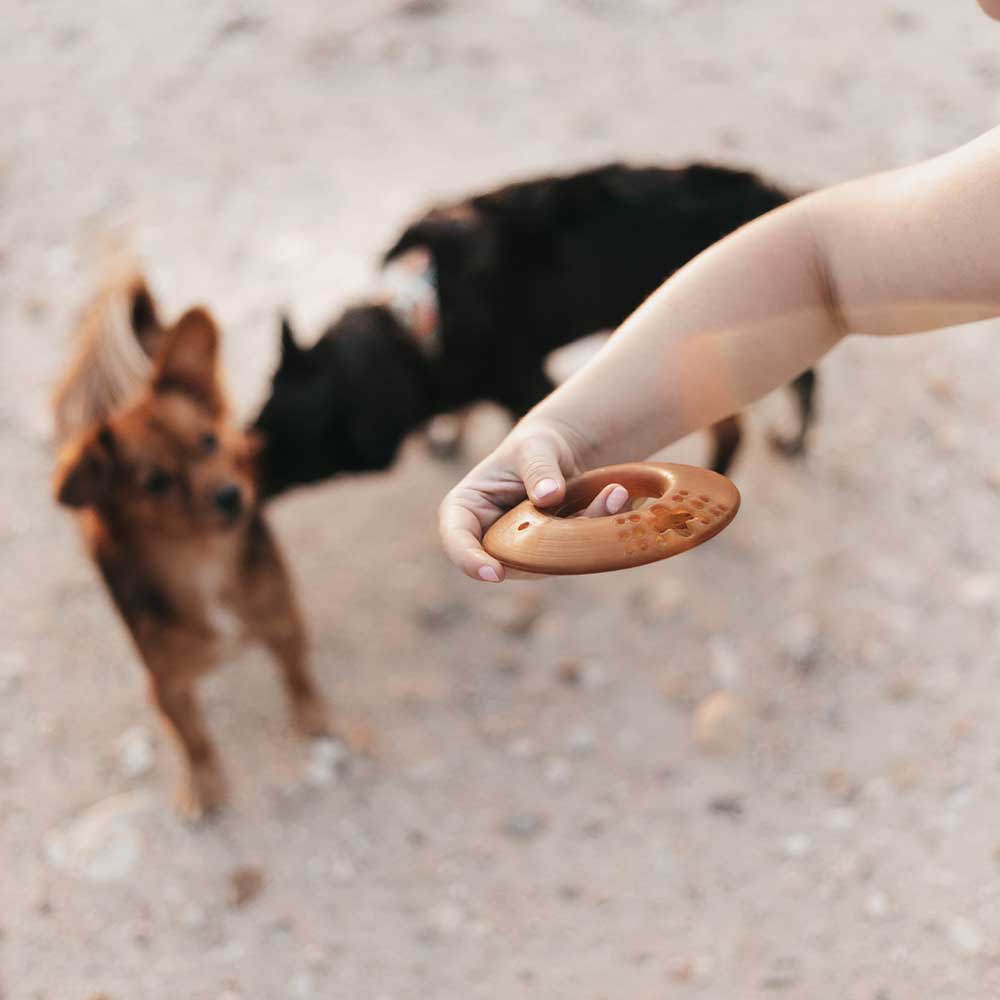 POCURULL SL (Retorn) - Wholesale Pet Toy - Dog - Rub Fly Dog Toy4