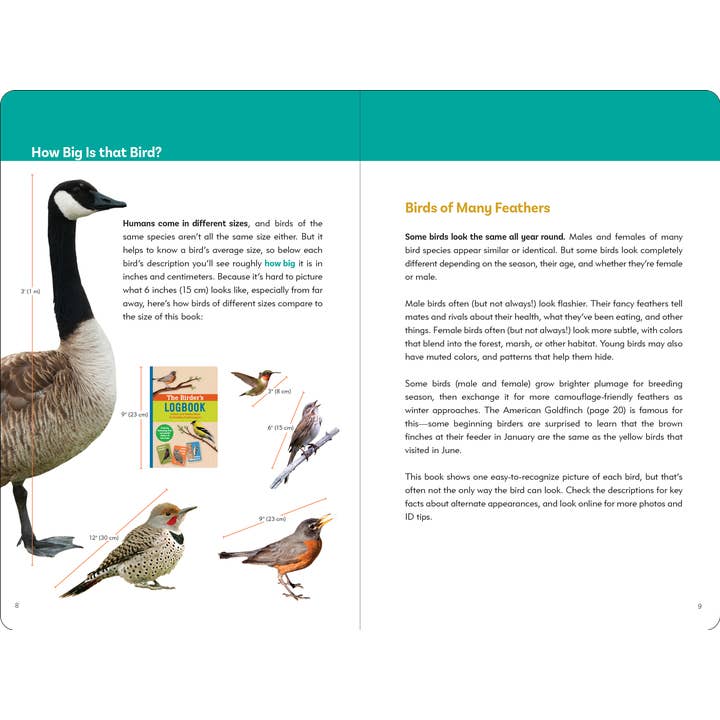 Peter Pauper Press - Wholesale Coloring & Activity Book - Kids & Baby - The Birder's Logbook: A Seek-and-Sticker Book for Budding Ornithologists3