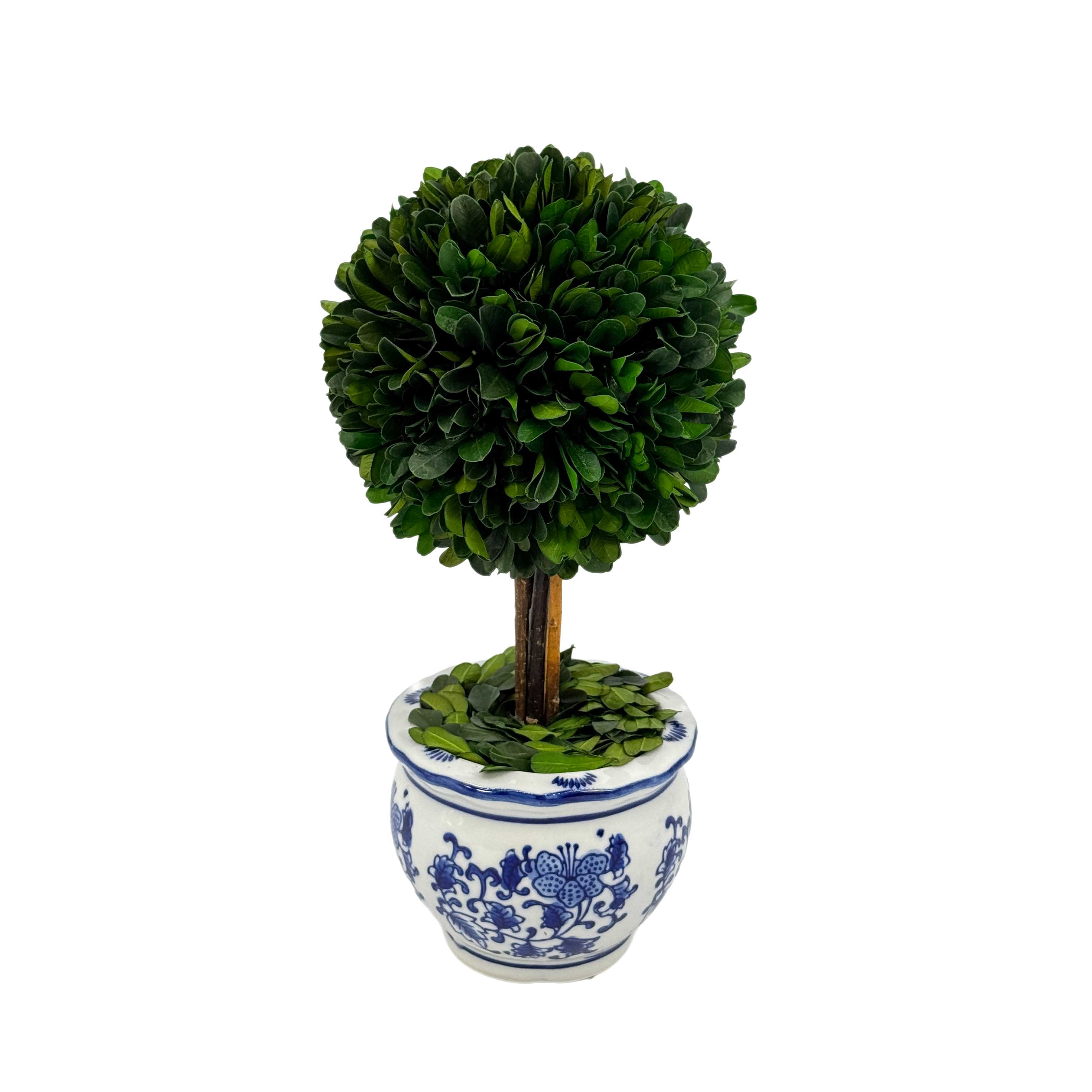 Galt International Company - Vente Plantes artificielles - Arbre topiaire en boule de buis dans un pot rond en céramique bleu et blanc13