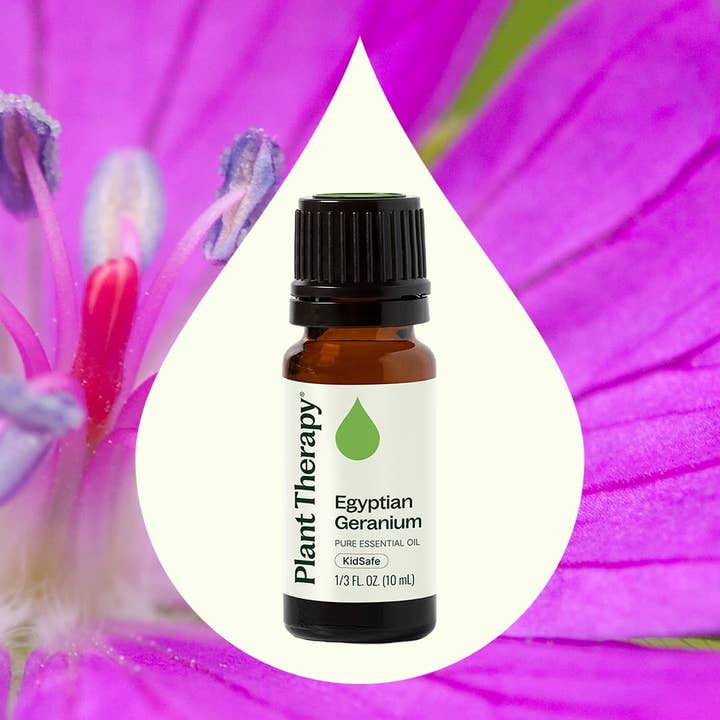 Plant Therapy - Wholesale Essential Oil - Egyptian Geranium Essential Oil 10 mL6