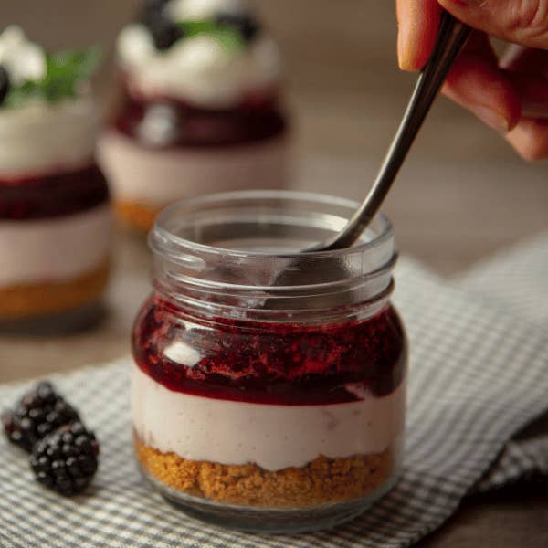 Wind & Willow - Wholesale Cake Mix - No-Bake Cheesecake Mix - Blackberry (cs 12)1