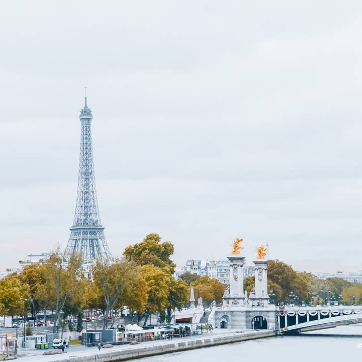 France 7 for wholesale by Autumn Carolynn Photography