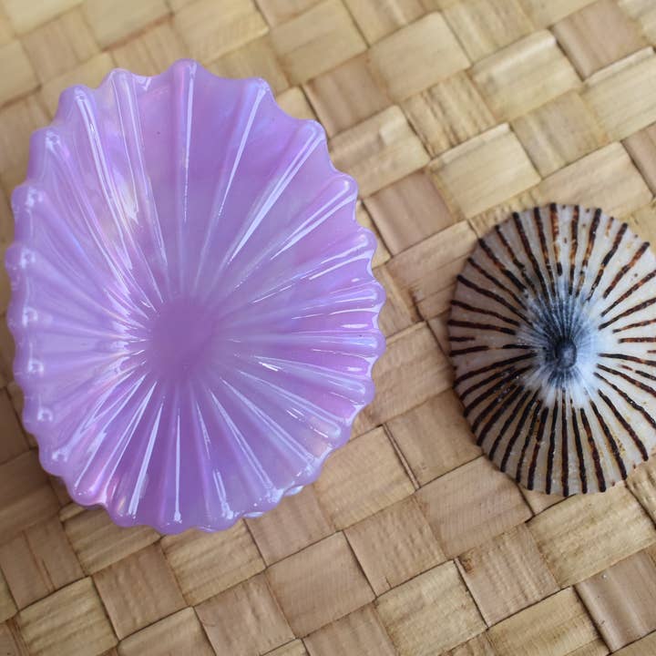 Revel Sun Hawai'i - Wholesale Hair Clip - Women's - 'Opihi Shell Shaped Claw Clip3