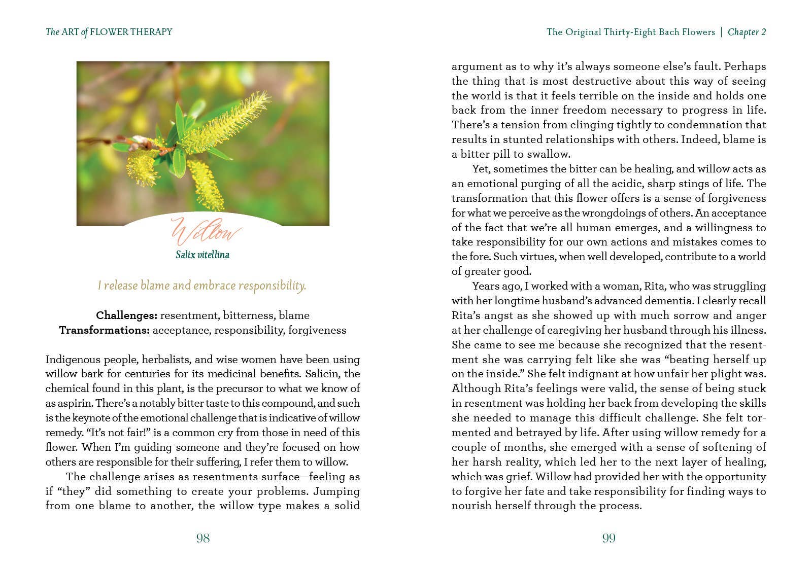 Schiffer Publishing - Wholesale Boek over lichaam, geest en ziel - De kunst van bloemtherapie6