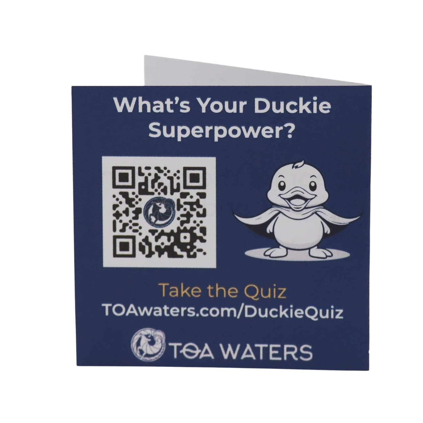 TOA Waters - Wholesale Bath Toy - Baby - Lucky Duckie Fortune1