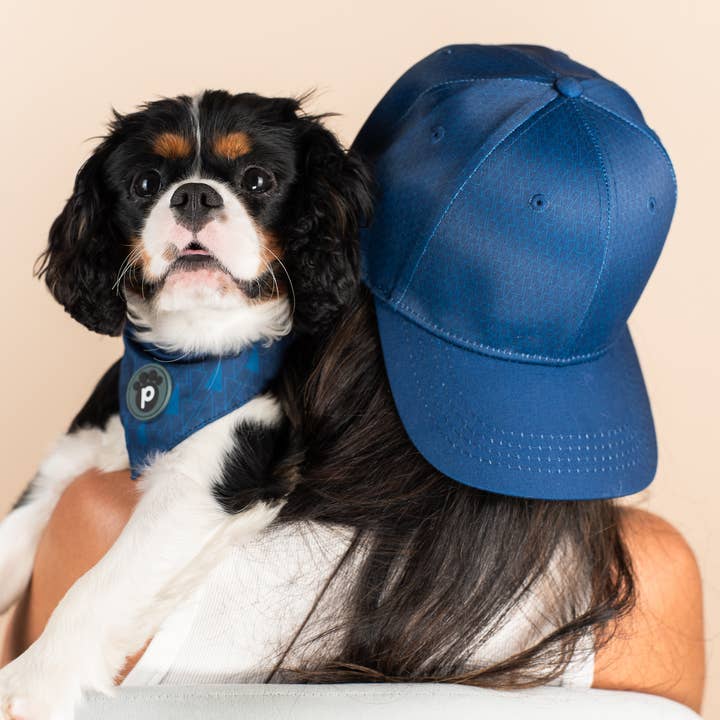 Pawsbury Lane - Wholesale Pet Bandana - Dog - Matching Pet and Owner: Baseball Cap + Pet Bandana - Blue