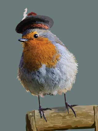 140C Robin / cute bird / tartan hat / funny card / quirky for wholesale by Periodic Society
