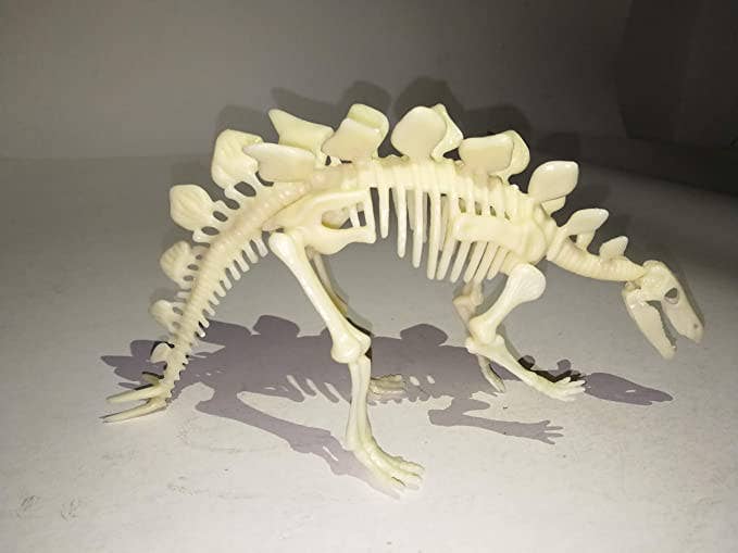 Texas Toy Distribution - Wholesale Build-a-Toy - Kids - Dinosaur Skeleton Realistic Model Assembly Peggable Kits4