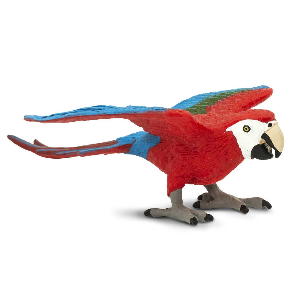 Safari Ltd. - Wholesale Figurine Toy - Kids - Green-Winged Macaw Figurine Toy2