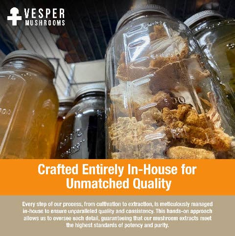 Vesper Mushrooms - Wholesale Tincture - Bulk Reishi Tincture - Liquid Double Extract2