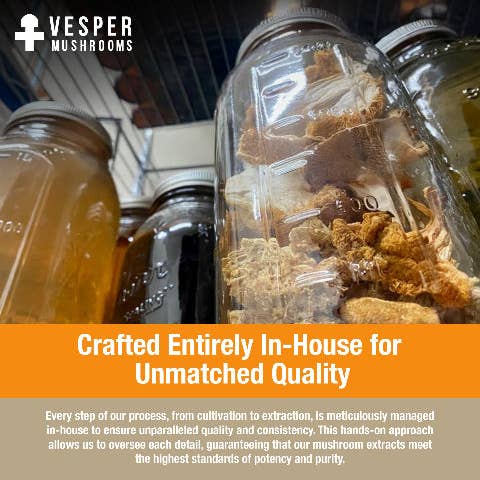 Vesper Mushrooms - Wholesale Tincture - Bulk Reishi Tincture - Liquid Double Extract2