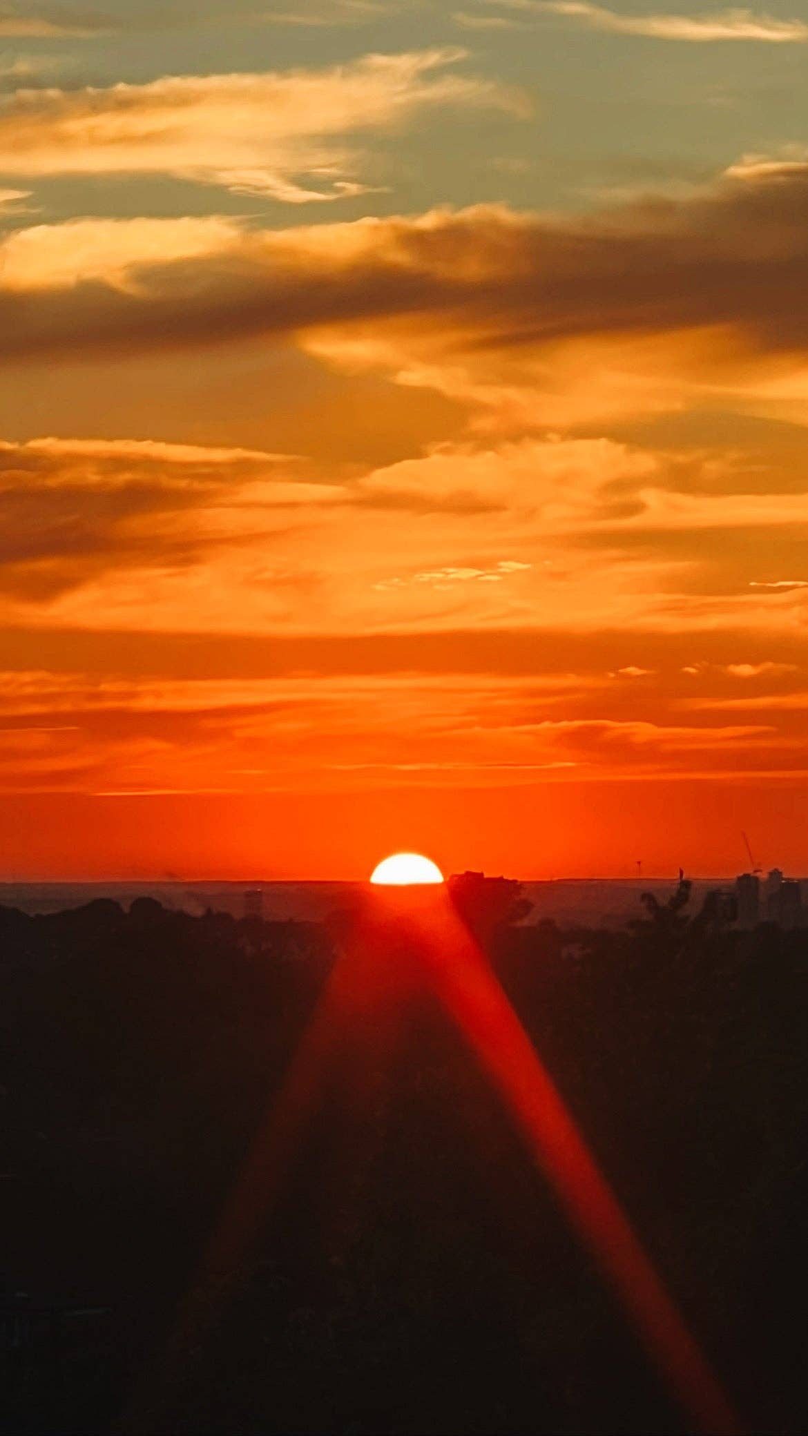 OCTŌ - Wholesale Pot/gevulde kaars - Golden hour geur (mandarijn + patchouli)3