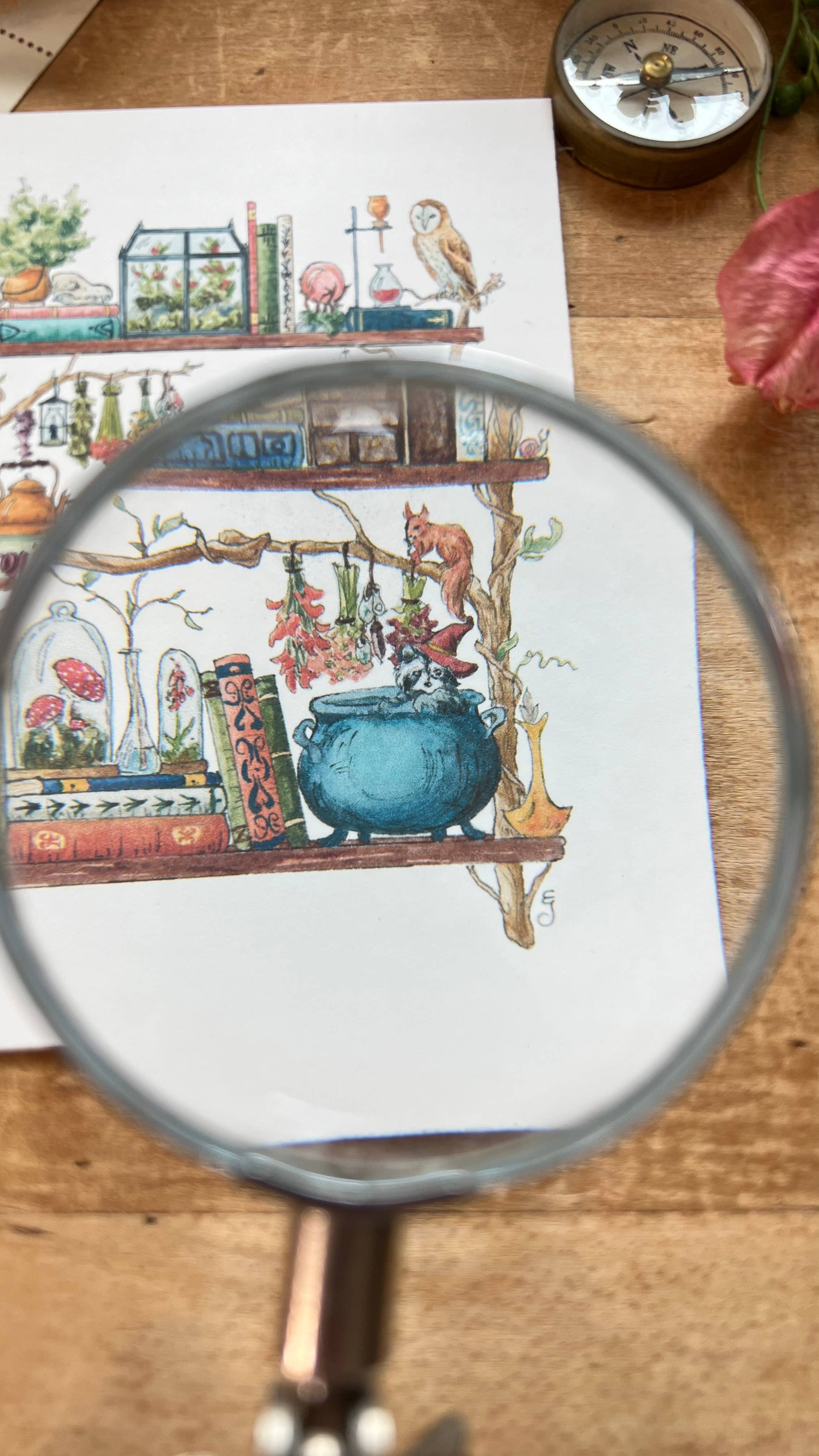 Lizzy Gass - Wholesale Postcard - The Forest Witch's Shelves Postcard4