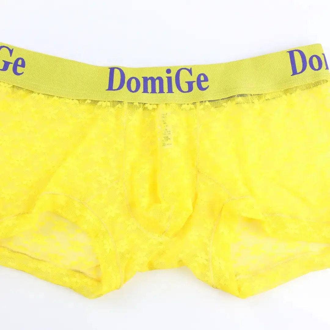 DomiGe – Großhandel Unterwäsche – Herren – Herrenhose aus transparentem Netzstoff mit stilvollem Logo-Bund — ultimativer Komfort und verführerische Herrenunterwäsche19