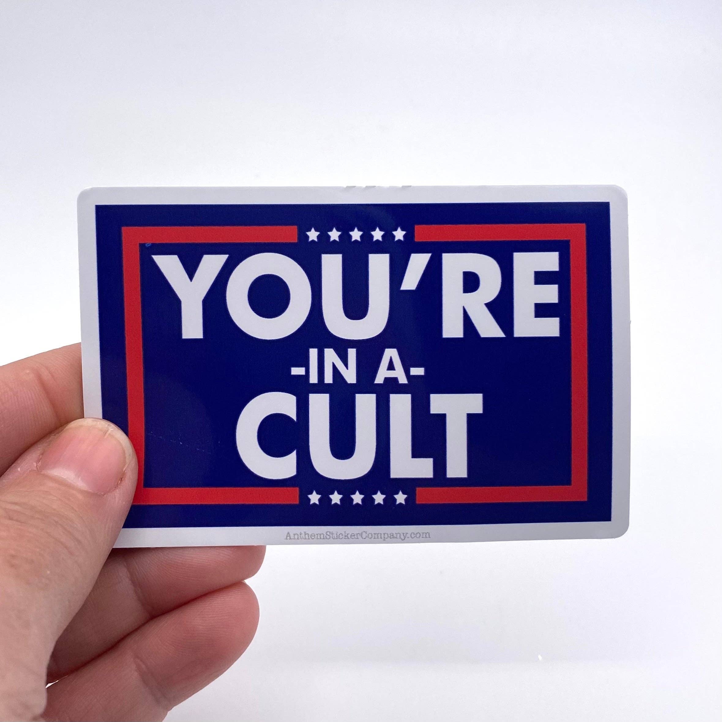 Anthem Sticker Company - Wholesale Sticker - you’re in a cult sticker0