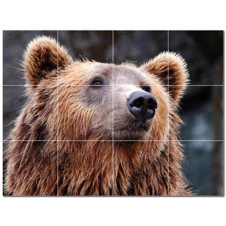 Mural de Azulejo Cerâmico Bear PT500127 por atacado de Picture-Tiles.com