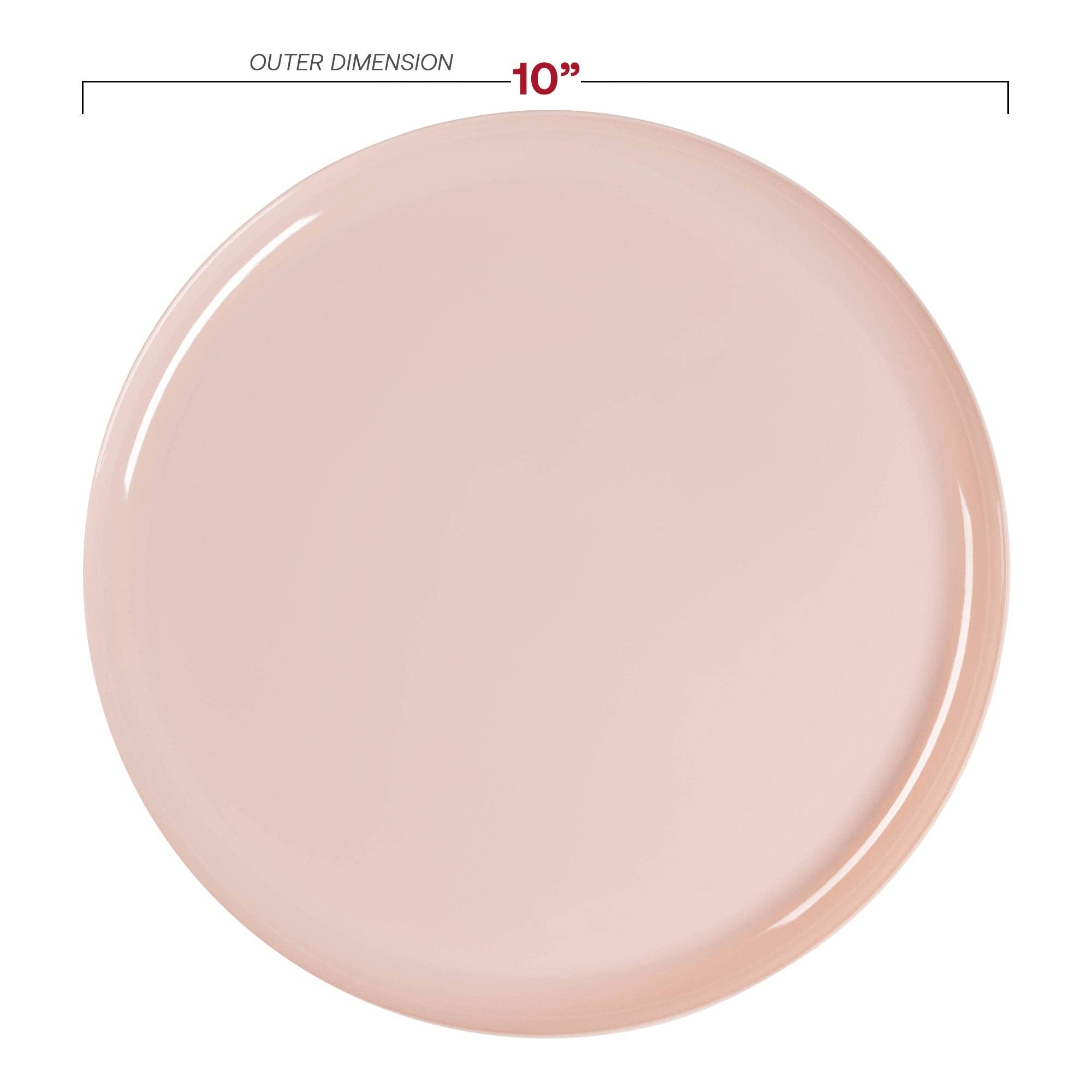 Smarty had a Party - Wholesale Disposable Plate - 10" Pink Flat Round Plastic Dinner Plates - 120 pcs2