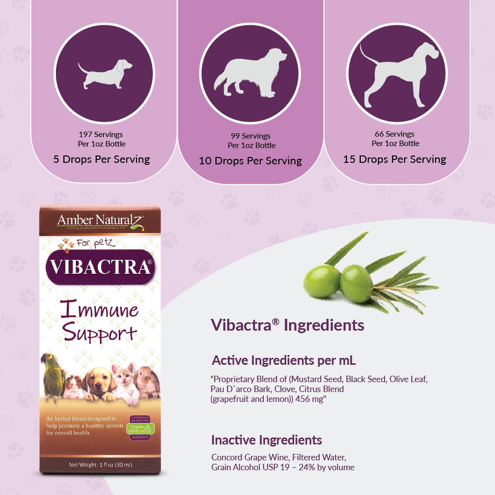 Amber NaturalZ, Inc. - Wholesale Pet Supplement - Cat/Dog - Vibactra | Pet Supplement3