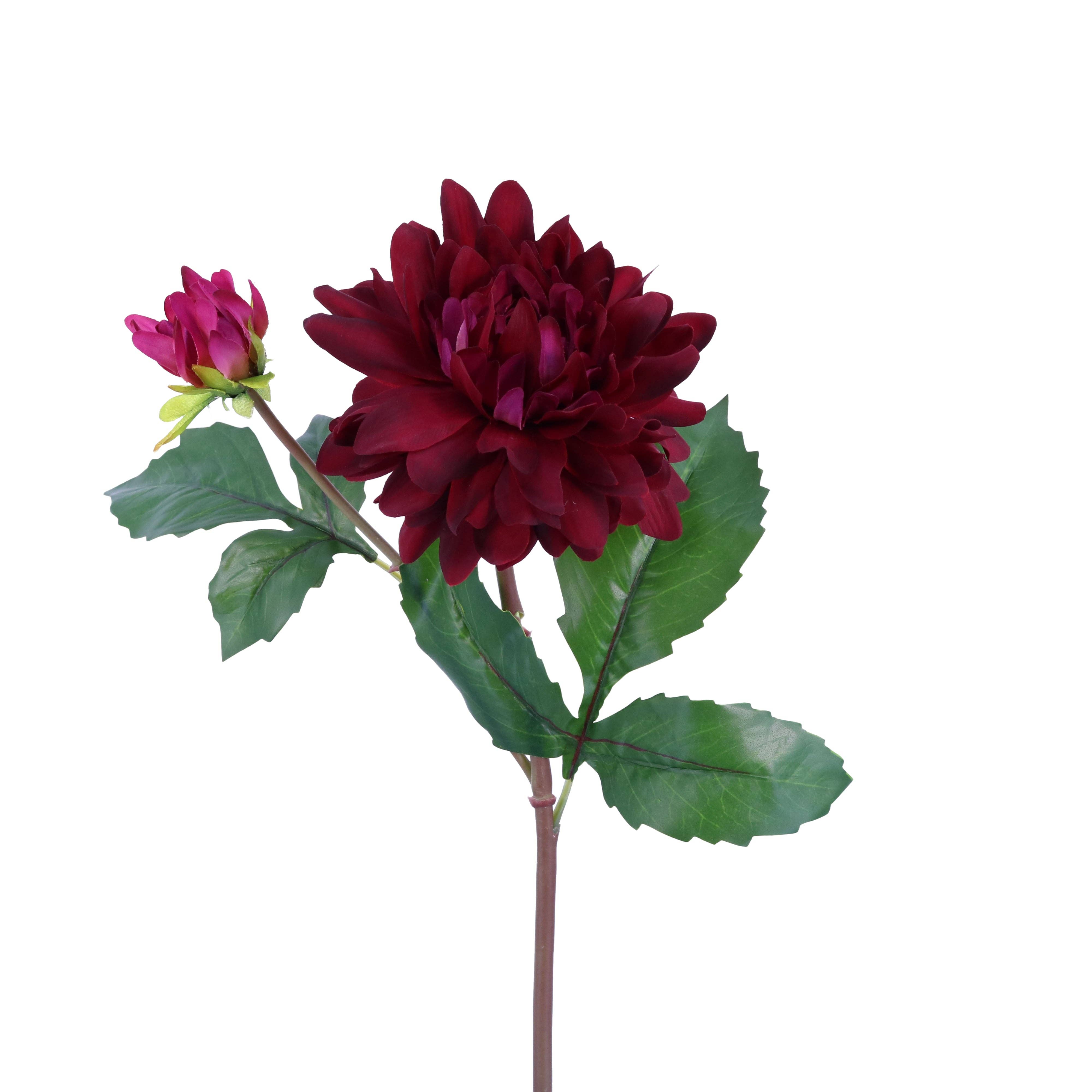 Green Import Limited - Vente Fleurs artificielles - Pulvérisateur FL10810 DAHLIA X1F1B, 22 pouces, 12 pouces, 96/7,58 pieds0