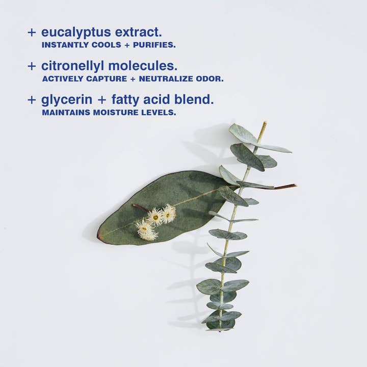 Best Beauty Group - Wholesale Deodorant - Unisex - Malin Goetz Eucalyptus Deodorant Mini5