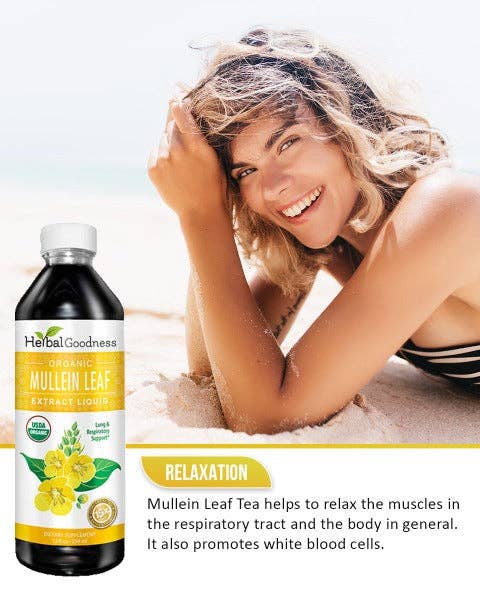 Herbal Goodness - Wholesale Loose Tea - Mullein Leaf Extract - Organic - Liquid 12oz - Lung & Respiratory Support - Herbal Goodness2