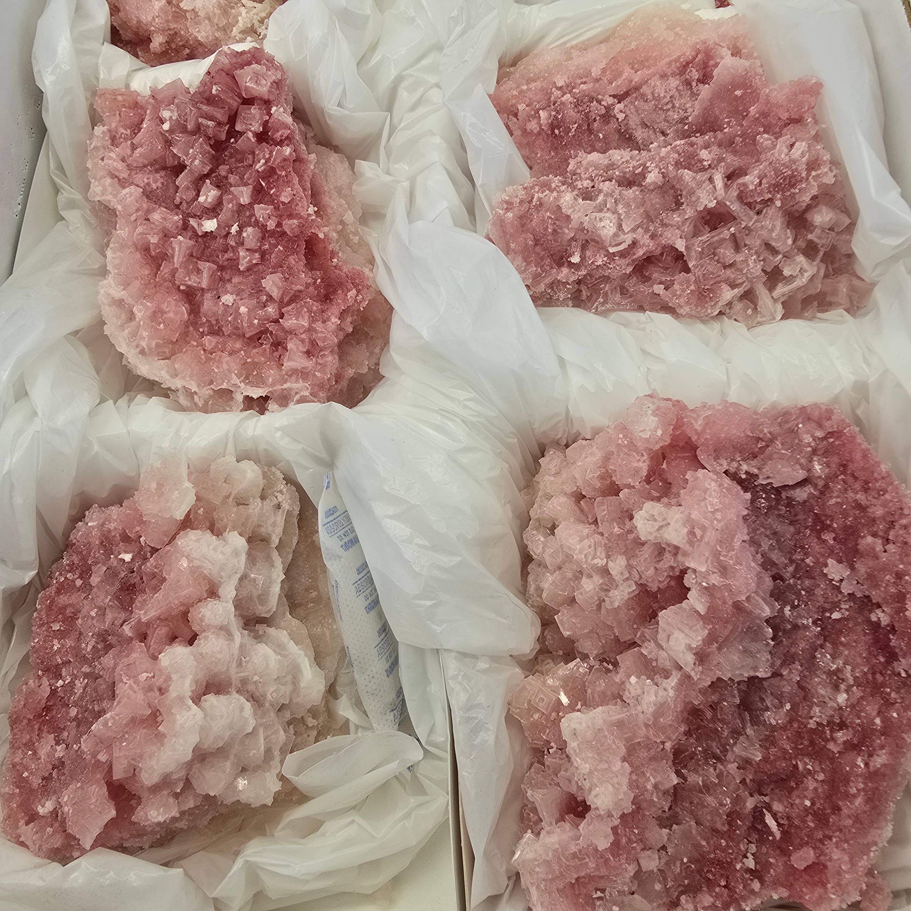 Aquamarine Daydream Wholesale - Wholesale Spiritual Stone/Crystal - 6pc Pink Halite ~ Bulk Mineral Flats ~ Crystal Specimens #132