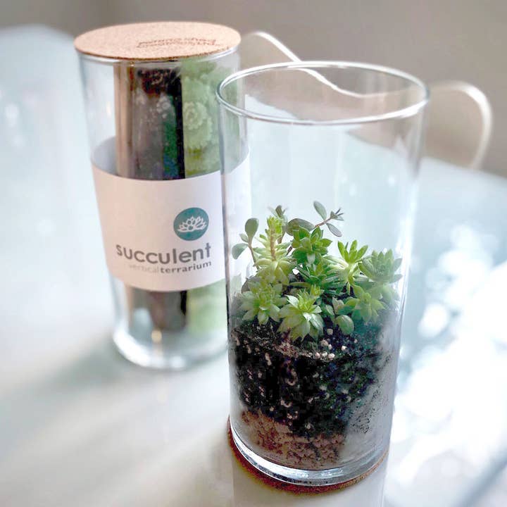 Potting Shed Creations, Ltd. - Wholesale Terrarium - Succulent Terrarium | Corporate Gift idea | Welcome Gift