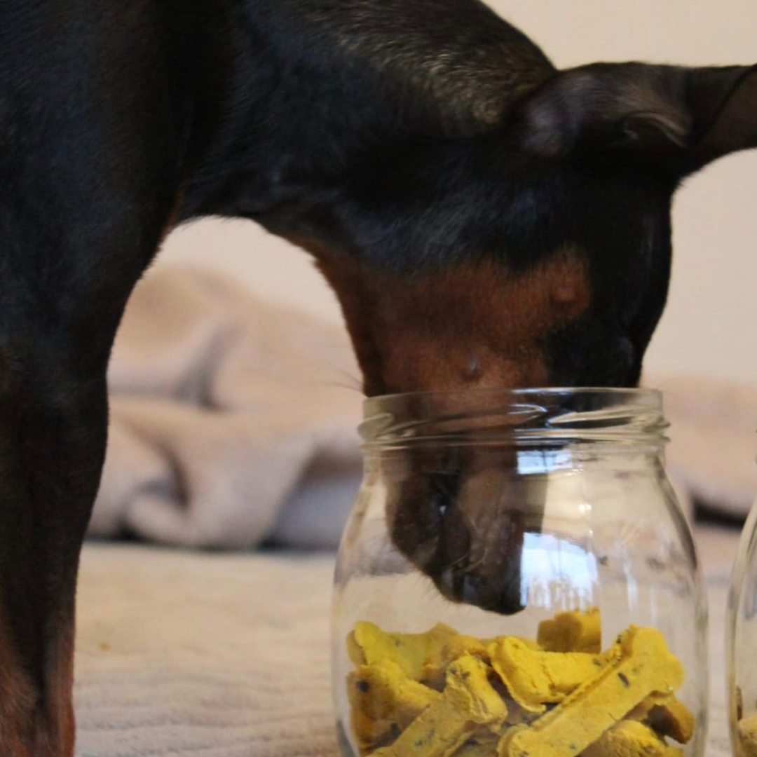 Belpharmed bv: Cooka's Cookies & Sensidog - Wholesale Pet Treats - Dog - Sintra Bliss - Natural Dog Treats With Superfoods7