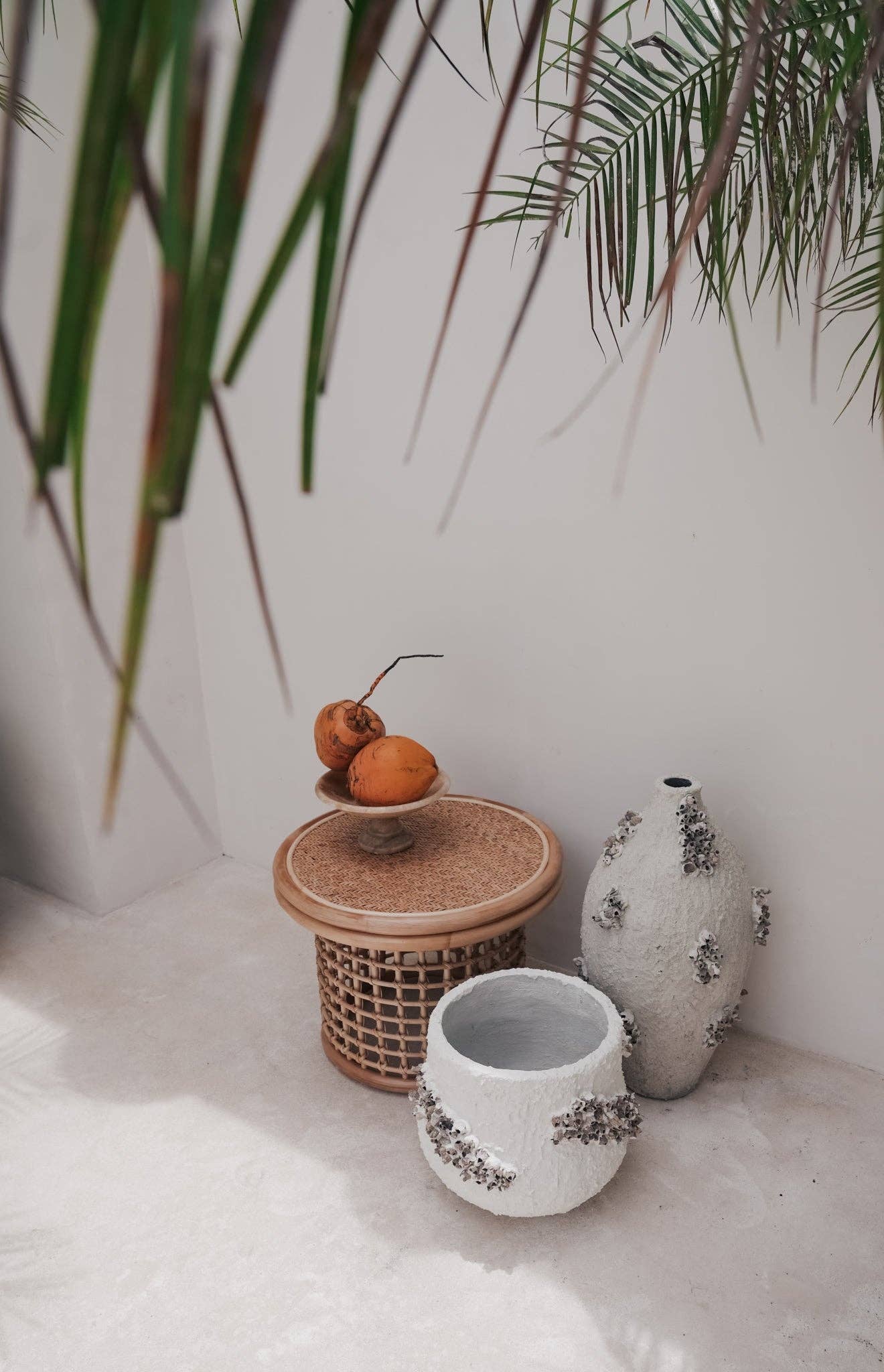 Black Salt Co - Wholesale Plant Pot - THE LAGI POT5